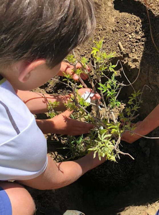 Réserve des Monts d'Azur : jardinage