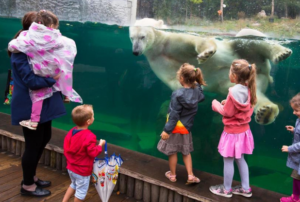 Les petits visiteurs du parc
