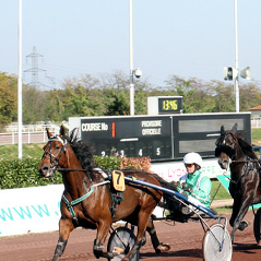 hippodrome-de-parilly