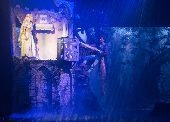 Raiponce et le prince aventurier - Guillaume Bauchède