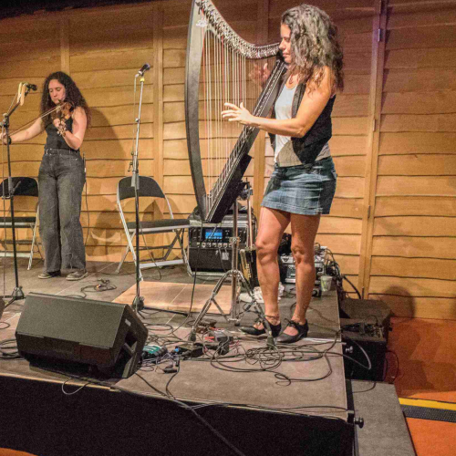 Festival Yaouank à l'Écomusée d'Alsace