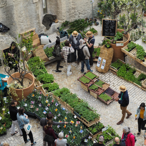 Fête des plantes au Mucem