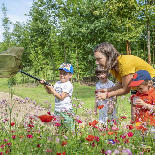 Rendez-vous aux jardins 2019 dans la région de Nantes - Parc de découverte cap Loire