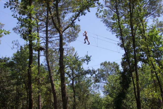 La Forêt des écureuils