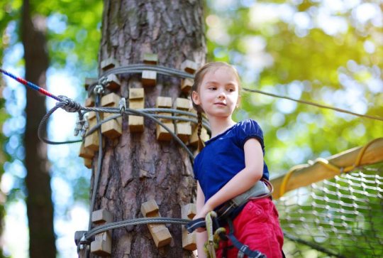 Sherwood Parc - Enfants accrobranche