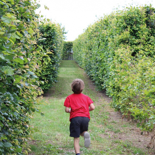 Les labyrinthes de la ferme de Gally