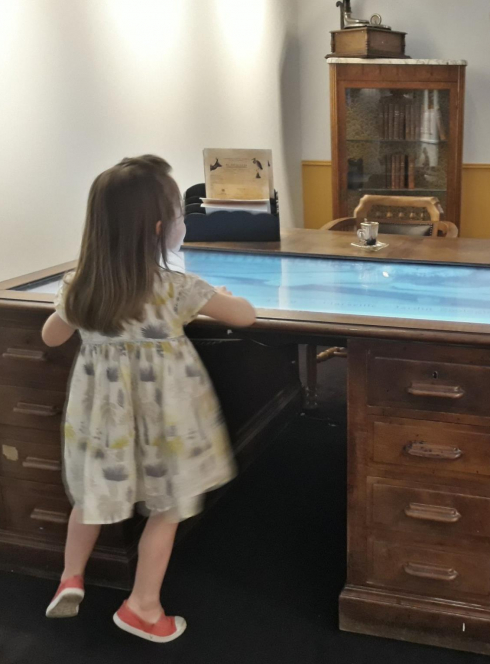 Journées du patrimoine au Muséum d'Histoire Naturelle de Marseille