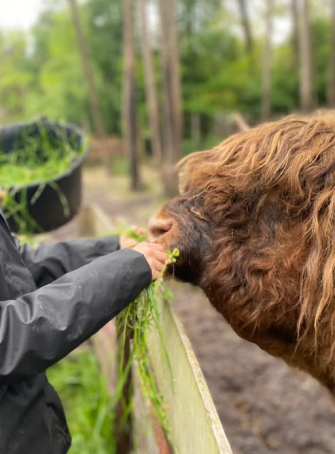 Un parc animalier centré sur le bien-être