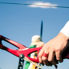 Fédération française de tir à l'arc