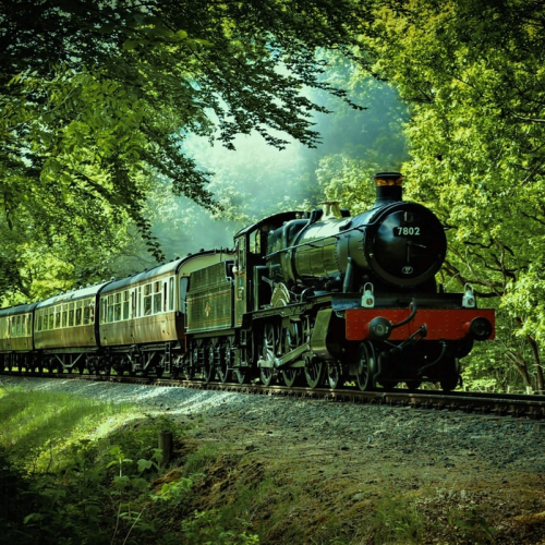 Train de la ferme d'Halloween