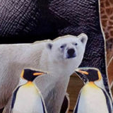 Spectacle Diorama Nice