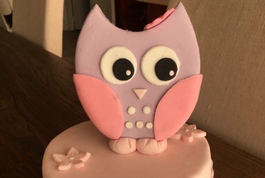 Gâteau hibou rose
