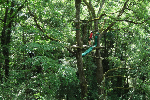 Le Vert en l'Air : accrobranche