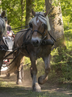 Hauts-de-France Nature