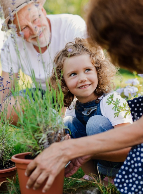 Rendez-vous aux jardins 2024 : Atelier rempotage entre une petite fille et ses grands-parents