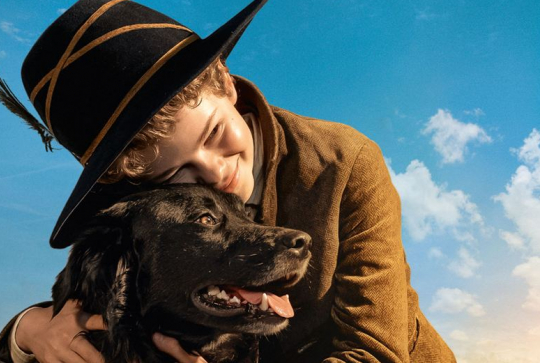 Rémi sans famille - Affiche 2