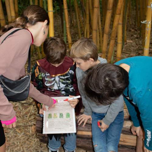 Halloween Château de Flaugergues