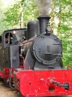 Train Forestier d'Abreschviller : locomotive