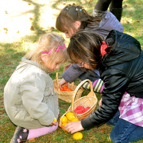Pâques O Parc Millau