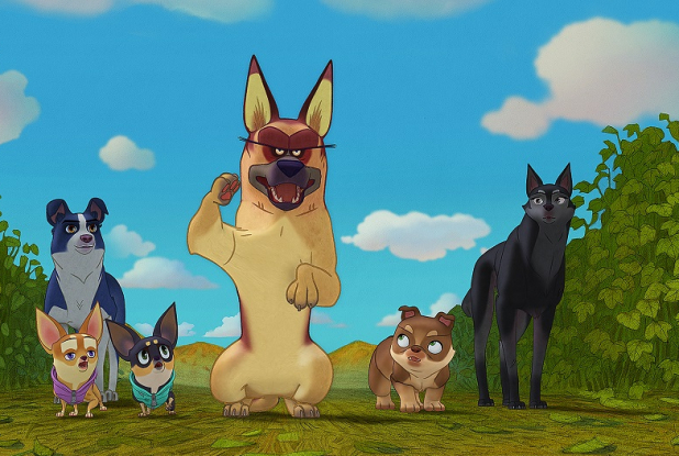 Nous, les chiens : la bande de chiens errants