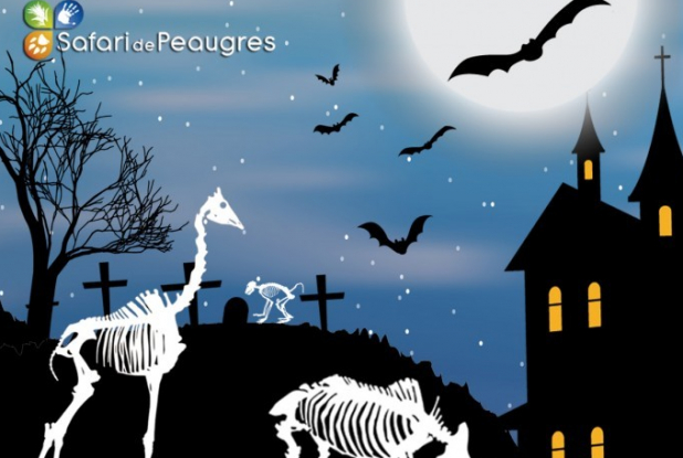 Halloween 2017 au Safari de Peaugres