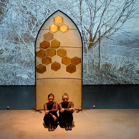 La République des abeilles - Céline Schaeffer