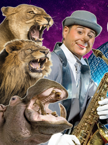 Cirque Gold - L'histoire d'un rêve - affiche