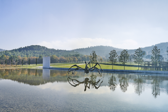 Louise Bourgeois : Croushing Spider