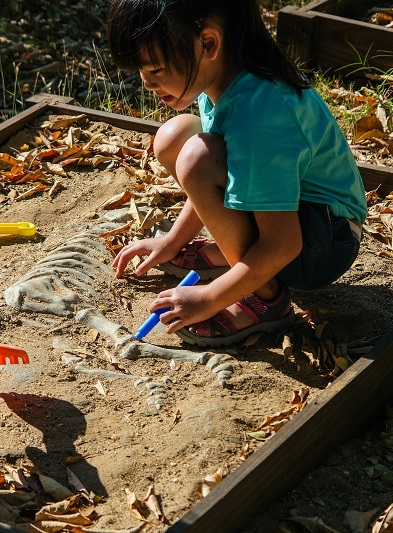 Les Journées européenne de l'archéologie 2024
