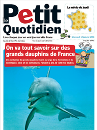 le petit quotidien