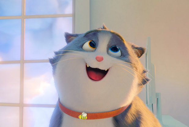 Croquette le chat merveilleux : sourire