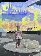 Claude Monet : The Immersive Experience