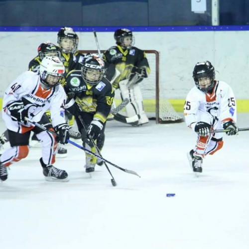 Toulouse Blagnac Hockey Club