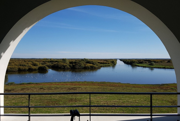 Maison du Lac de Grand Lieu : observation