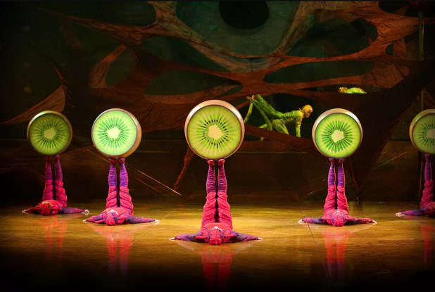 Ovo : les incroyables fourmis