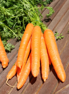 Côté Jardins - carottes