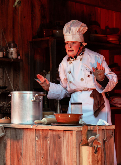 Les Fééries Nocturnes du Bois des Lutins 2025 - 1