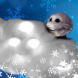 Fuji, le petit flocon de neige