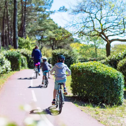 Vélo Bassin Arcachon