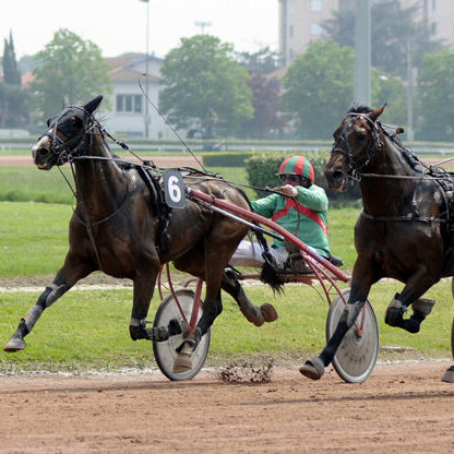 Hippodrome de Toulouse