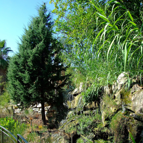 Jardin botanique de Nice
