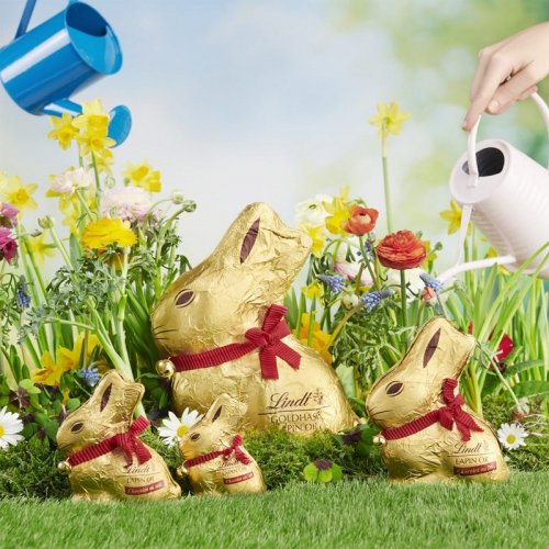 Une chasse aux œufs dans les boutiques du centre-ville de Lyon