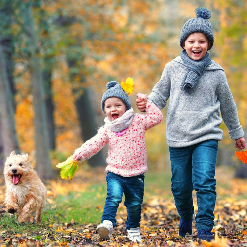 Les rendez-vous nature dans le Nord : Un petit garçon, une petite fille et un petit chien courent dans la forêt en automne