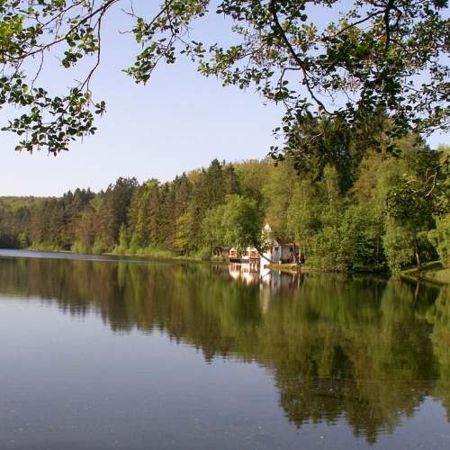 L'étang de Hasselfurth