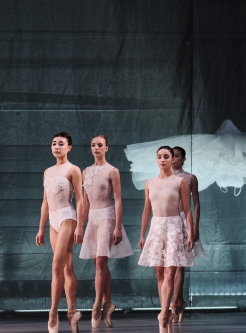 Le Lac des cygnes - Ballet de l'Opéra national du Rhin