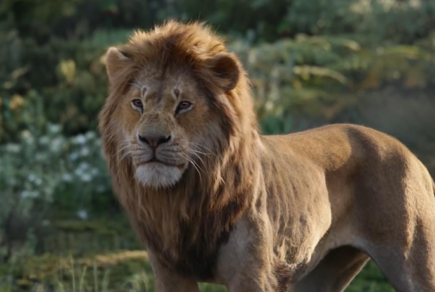 Le Roi Lion, le film - Simba adulte