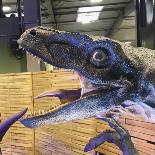 Le Règne des Dinosaures