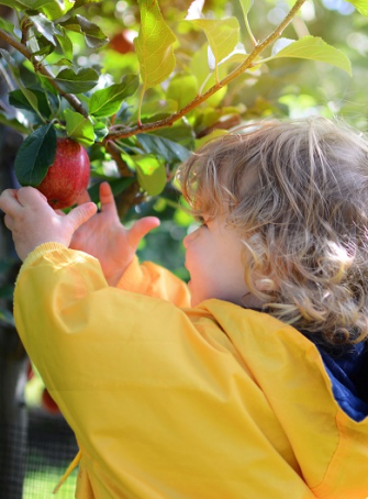 Cueillette en famille : vos bons fruits et légumes à Clermont