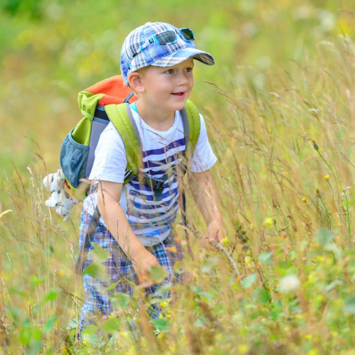 Festival Nature : L’Happy Grièche