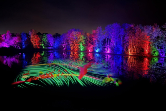 Parc des Oiseaux - Nuits du Parc